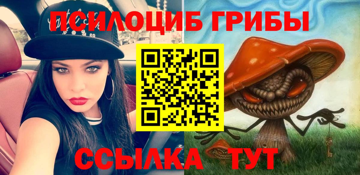 Галлюциногенные грибы мухоморы Вязники