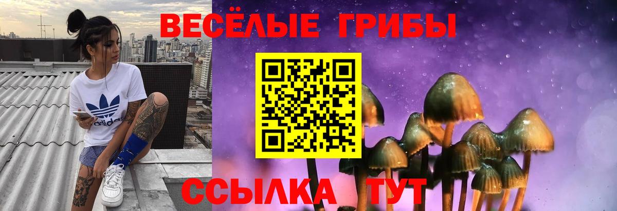 Вязники  Псилоцибиновые грибы Psilocybe  Вход с VPN 